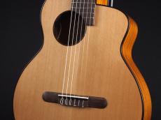 aNueNue aNN-MN14E ~Gloss Natural~【小型エレガット】_5