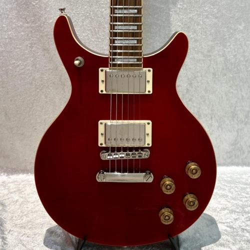 Epiphone DC-PRO