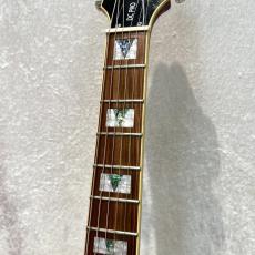 Epiphone DC-PRO_5