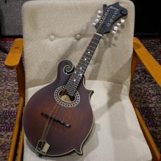 Eastman MD 314 【F-スタイルマンドリン】