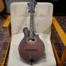 Eastman MD 314 【F-スタイルマンドリン】_2