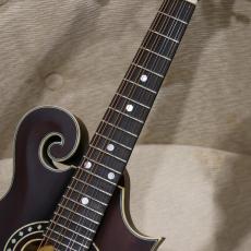Eastman MD 314 【F-スタイルマンドリン】_6