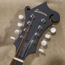 Eastman MD 314 【F-スタイルマンドリン】_7