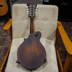 Eastman MD 314 【F-スタイルマンドリン】_8