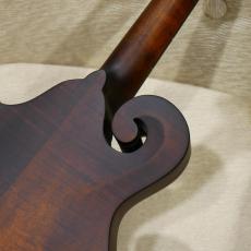Eastman MD 314 【F-スタイルマンドリン】_10