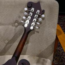 Eastman MD 314 【F-スタイルマンドリン】_13