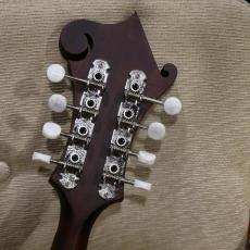 Eastman MD 314 【F-スタイルマンドリン】_14