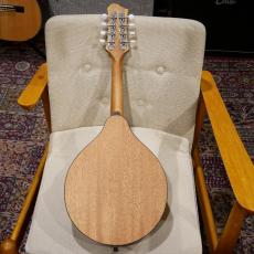 Eastman PCH-M104 NAT 【フラットマンドリン】_7