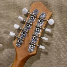 Eastman PCH-M104 NAT 【フラットマンドリン】_12