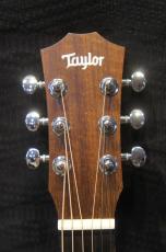Taylor Taylor / Baby Taylor BT-1