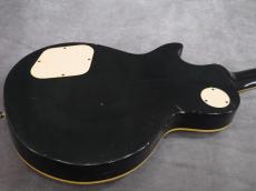 Aria Pro II LS-500 D  Dimarzio PU搭載_5