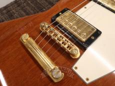 Gibson 2000 Explorer EC_13