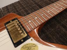 Gibson 2000 Explorer EC_14