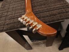 Gibson 2000 Explorer EC_17