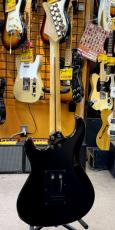 FERNANDES ARS-400_4