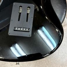 FERNANDES ARS-400_11
