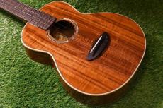 aNueNue AAA3 Tenor
