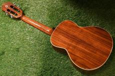 aNueNue AAA3 Tenor_3
