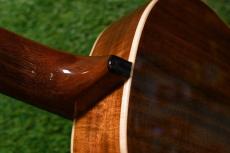 aNueNue AAA3 Tenor_9