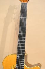 Nagasaka Guitars＜Leaf Insturments＞ 「樹」Itsuki　2012年頃_6