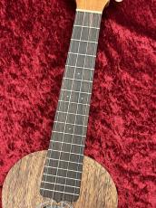 Martin C1K Uke #38200 【コンサートサイズ】 【ハワイアンコア単板】 【マーチンチューナープレゼント】_7