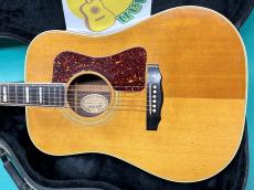 Guild D-55 NT_2