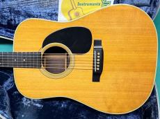 Martin D-28_2
