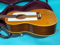 Epiphone FT-95 FOLK STER_4