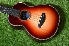 Singer RT5R-CS Tenor