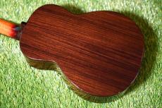 Singer RT5R-CS Tenor_2