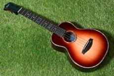 Singer RT5R-CS Tenor_3