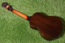 Singer RT5R-CS Tenor_4