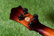 Singer RT5R-CS Tenor_6