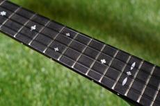 Singer RT5R-CS Tenor_7