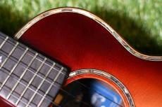 Singer RT5R-CS Tenor_9