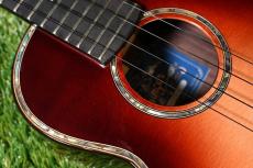 Singer RT5R-CS Tenor_10