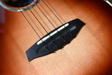 Singer RT5R-CS Tenor_11