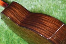 Singer RT5R-CS Tenor_14