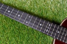 Singer RT5R-CS Tenor_15
