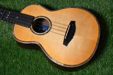 Singer RT5R-LS Tenor