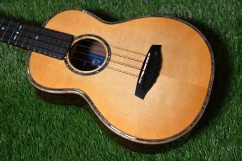 Singer RT5R-LS Tenor