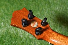 Singer RT5R-LS Tenor_6