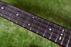 Singer RT5R-LS Tenor_7
