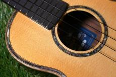 Singer RT5R-LS Tenor_10