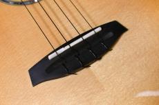 Singer RT5R-LS Tenor_11