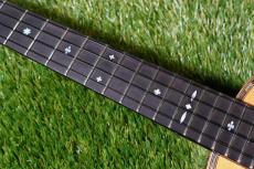 Singer RT5R-LS Tenor_15