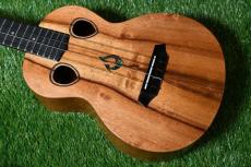 G String T4 DH Tenor