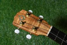 G String T4 DH Tenor_5