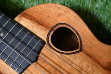 G String T4 DH Tenor_9