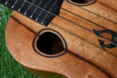 G String T4 DH Tenor_10